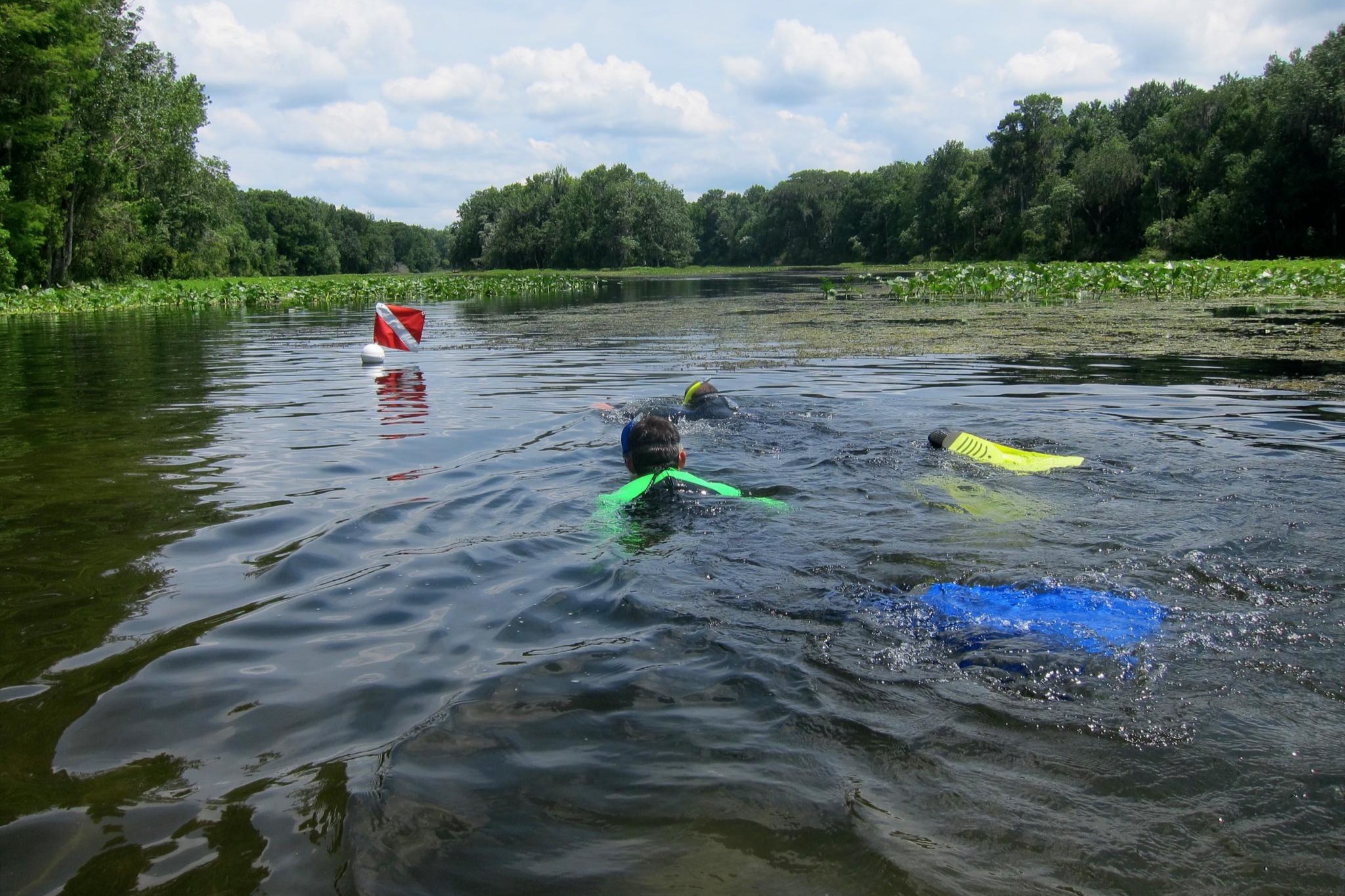 Snorkeling and Skin Diving (for people of all ages)